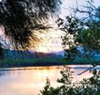 Tweed Coast Holiday Parks Hastings Point - Holiday Find