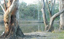 Mclean Beach Holiday Park - Holiday Find 5