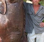 Michael's Clarence Valley Retreat - Holiday Find