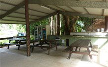 Mt Warning Rainforest Park - Holiday Find 4