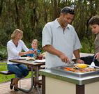 Port Stephens Treescape
