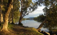 South West Rocks Tourist Park - South - Holiday Find 0