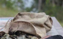 The Escape Luxury Camping - Holiday Find 1