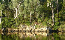 The Escape Luxury Camping - Holiday Find 5