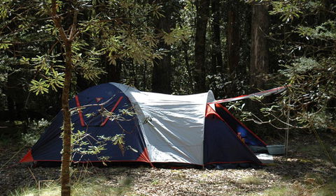 Thungutti Campground - Holiday Find 0