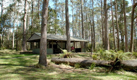 Thungutti Campground - Holiday Find 1