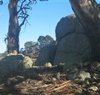 Warreen Farmstay Rural Accommodation - Holiday Find