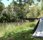 Williams River Holiday Park - Holiday Find