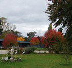 Holbrook Settlers Motel - Holbrook - Holiday Find