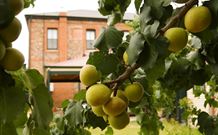 Imperial Fine Accommodation - Broken Hill - Holiday Find 7