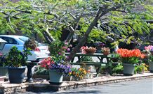 Milgate Motel - Casino - Holiday Find 2