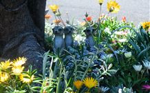 Milgate Motel - Casino - Holiday Find 3