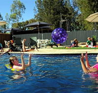 Kingston On Murray Caravan Park - Holiday Find