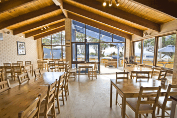 Surf City Motel - Holiday Find 5