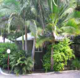 Nambour Rainforest Holiday Village - Holiday Find 1