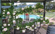 Valley View Motel Murrurundi - Murrurundi - Holiday Find 2