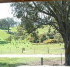 Hosanna Farm Retreat - Holiday Find