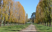 Kangadoo Cottage - Holiday Find 1