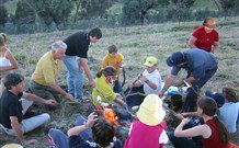 Linga Longa Farm Wingham - Holiday Find 3