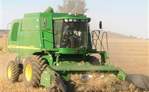 Linga Longa Farm Wingham - Holiday Find 4