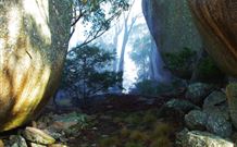 Anketell Forest Cottages - Holiday Find 4