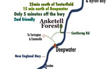 Anketell Forest Cottages - Holiday Find 6