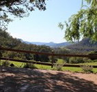 Cedar Grove - - Holiday Find