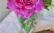 Newcastles Bed And Breakfast - Holiday Find 3