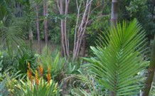 Old Convent River Retreat - Holiday Find 1