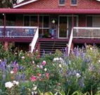 Rose Patch Bed and Breakfast - Holiday Find