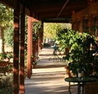 The Vineyard Motel - Holiday Find