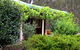 Mount Clunie Cabins - thumb 1