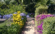 Wilderness Grove Estate - Holiday Find 7