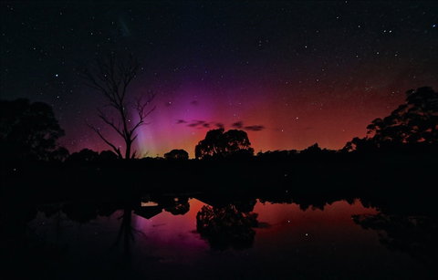 Moonbah Huts - Holiday Find 10