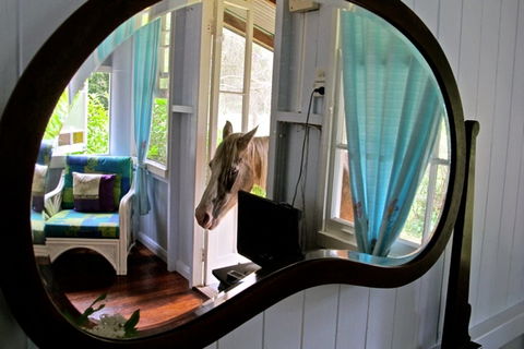 Noosa Avalon Farm Cottages - Holiday Find 10