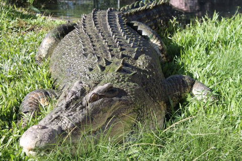 Corroboree Park Tavern - Holiday Find 7