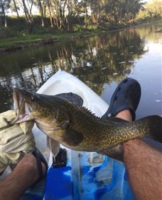 Dumaresq Homestead - Holiday Find 1