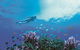 One&Only Hayman Island - thumb 3