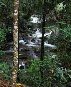 Daintree Secrets Waterfall Sanctuary - Holiday Find 1