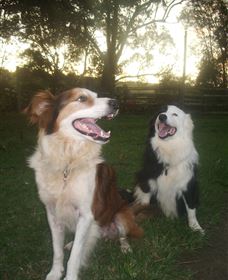 Brockhurst Farm Accommodation / Wedding Venue - Holiday Find 1