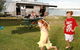 Broadwater Tourist Park - thumb 1