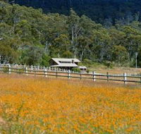 Pender Lea Alpine Guest Accommodation