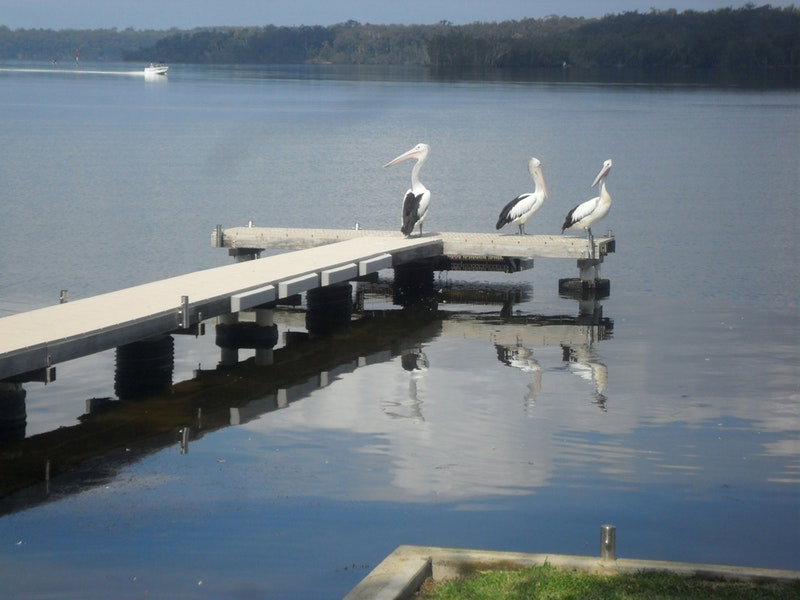 Basin View NSW Holiday Find