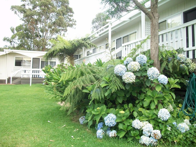 Millingandi NSW Holiday Find