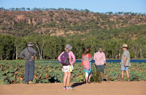 Mount Nancar Wilderness Retreat - Holiday Find 5