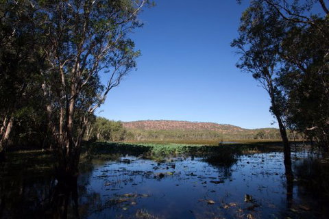 Mount Nancar Wilderness Retreat - Holiday Find 6