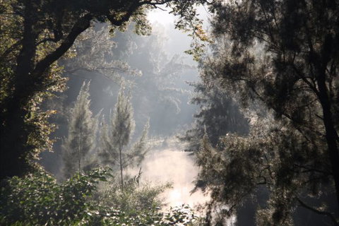 Elderslie House - Holiday Find 29