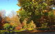 Eastern Dandenong Ranges Visitor Information Centre - thumb 1