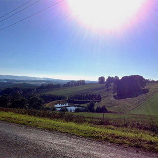 Eastern Dandenong Ranges Visitor Information Centre - Holiday Find 9