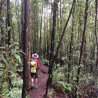 Eastern Dandenong Ranges Visitor Information Centre - Holiday Find 11